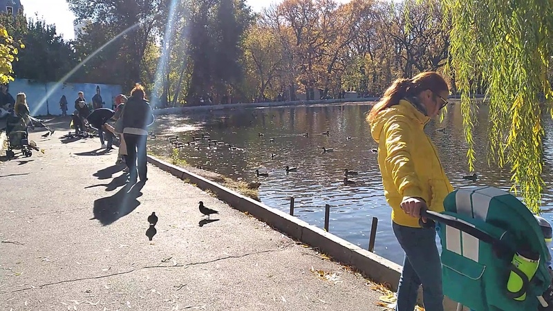 Горпарк в октябре 2020 года