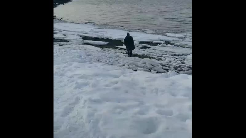 VID_24170329_134501_594.mp4