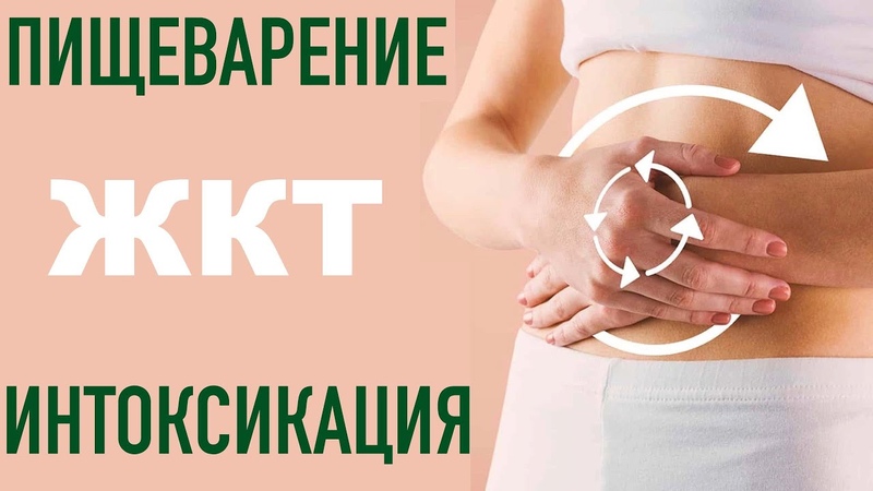 Внятно о ПИЩЕВАРЕНИИ И ИНТОКСИКАЦИИ
