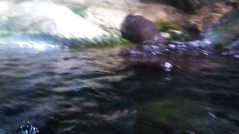 VID_20190411_113525 Амазония