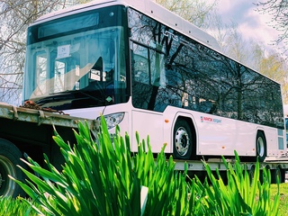 Лотос 105 архангельск. Автобус лотос 105 газовый. Автобус лотус. Lotos 105c02. Маз лотос 105.