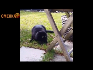 Приколы апрель 2016 №26