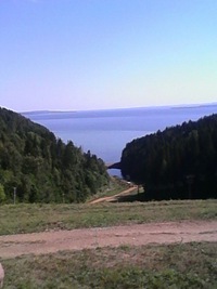 Елена Косарева