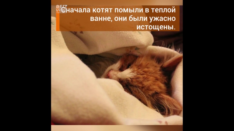 Страшная Находка