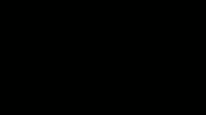 VID_47620327_212326_074.mp4