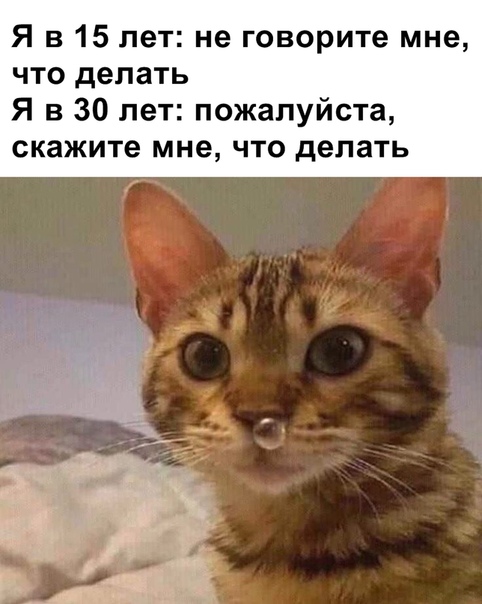 смешные картинки