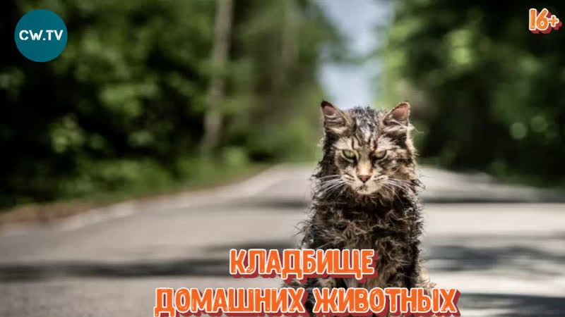 KL@DBuIIIE_GuB0THbiX_HD_2019