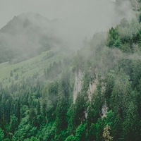 Людмила Терснева