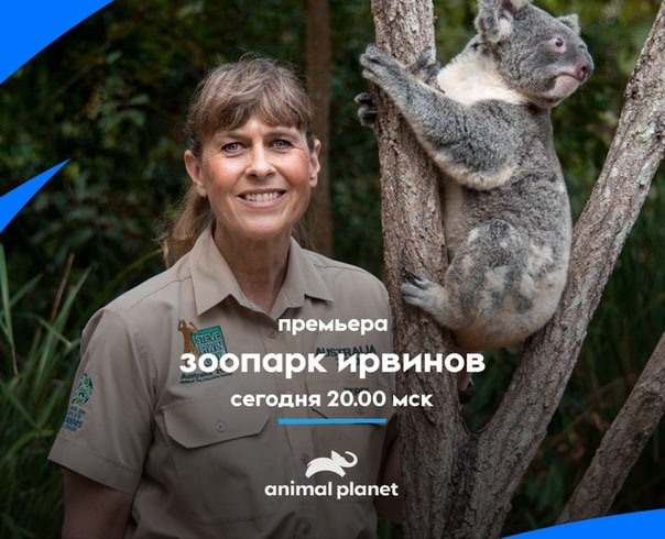 Благодаря Терри, Бинди, Роберту и их команде животные счастливы в Австралийском зоопарке, а их здесь более 1200 Каждый день в нем не похож на предыдущий искупать питона, организовать переезд