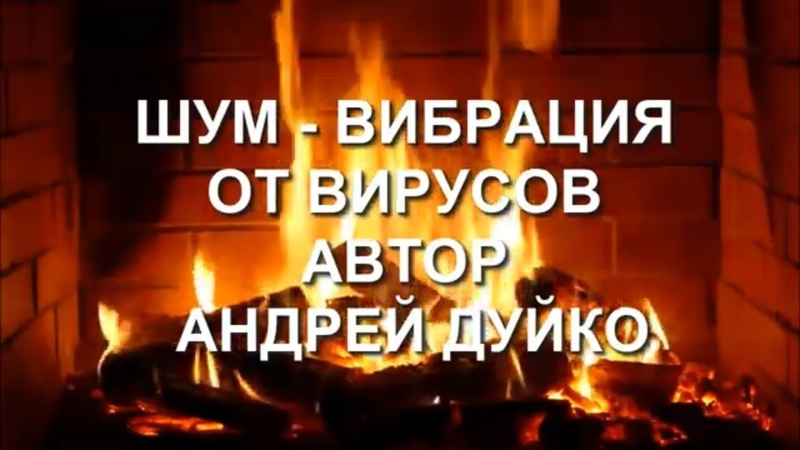 Шумы дуйко. Шум Дуйко от вирусов. Андрей Дуйко шумы. Шум от вирусов Андрея Дуйко