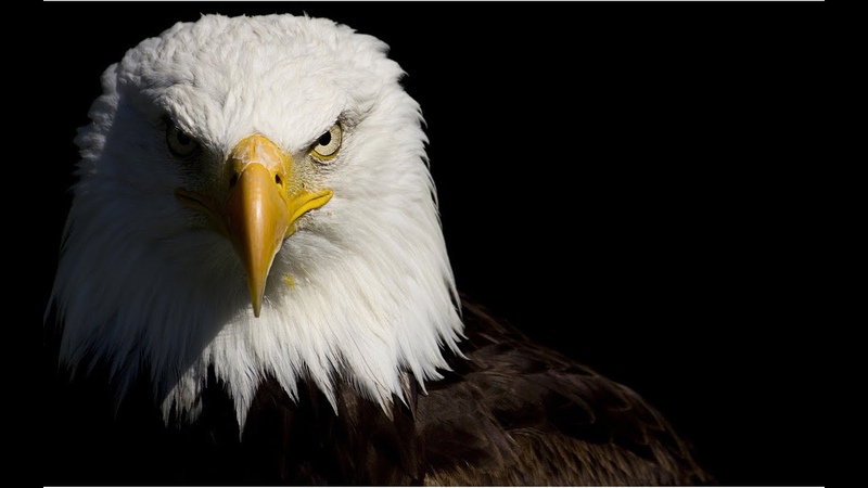 The Eagles Lyin Eyes with Lyrics